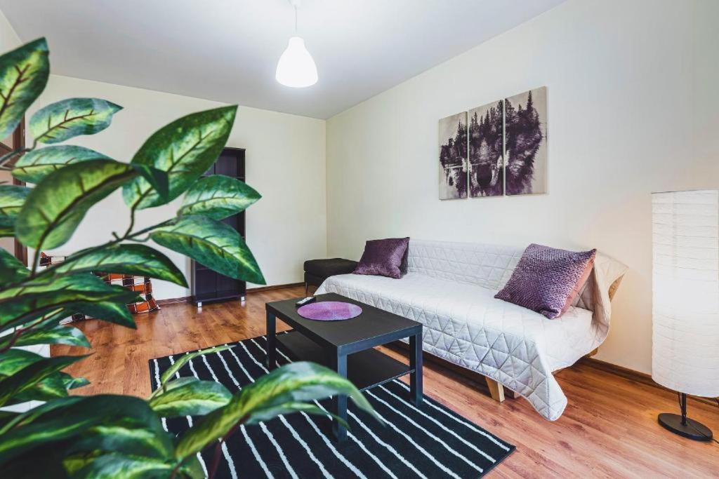 Apartament Niecala Queens Superior Lublin Exteriör bild